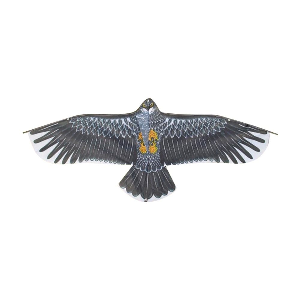 1.1m Eagle Kite With 30m Kite  - Outdoor Sport Activity 评论和价格