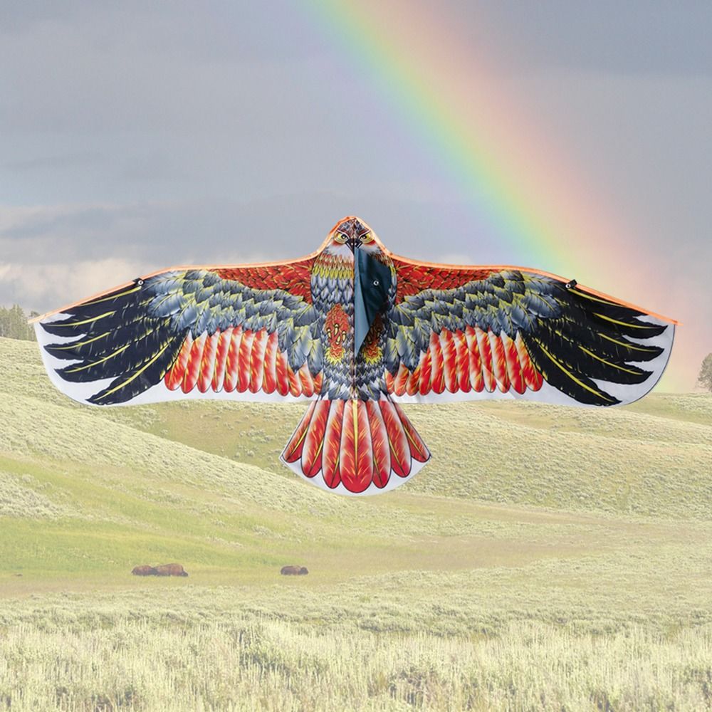1.1m Eagle Kite With 30m Kite  - Outdoor Sport Activity 评论和价格
