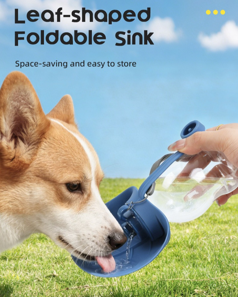 Sport Portable Pet Dog Water B - Outdoor Sport Glass Water Bottle 评论和价格