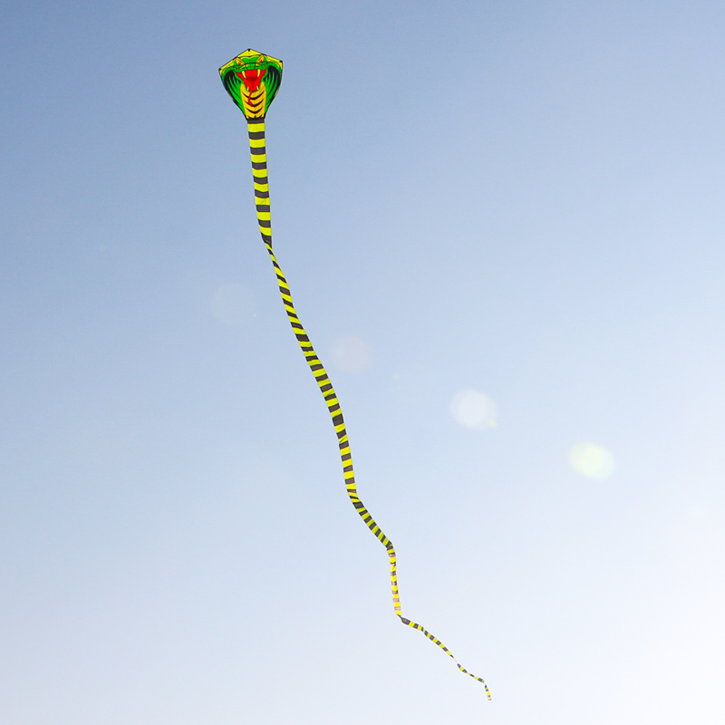 Paradise Bird 8m/15m Snake Kit - Outdoor Sport Outlet 评论和价格