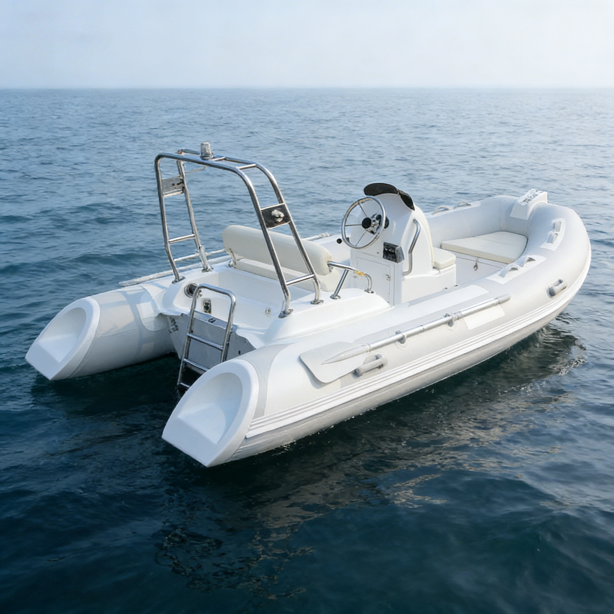 RIB Inflatable Boat Luxury Fib - Outdoor Sport Logo 评论和价格